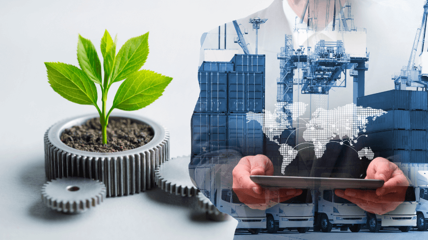 Importación sostenible: cómo crear una cadena de suministro ecológica y competitiva