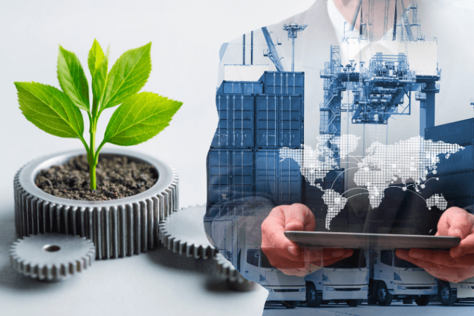 Importación sostenible: cómo crear una cadena de suministro ecológica y competitiva