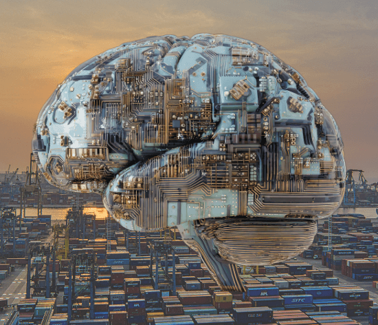 Why technology does not eliminate import risks