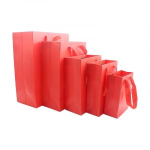 carton bags